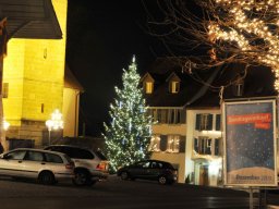 Aarberg by Night 2009-3